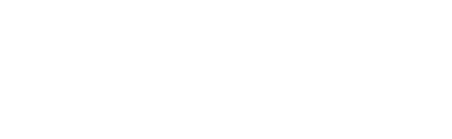 MISTRAS Data Solutions